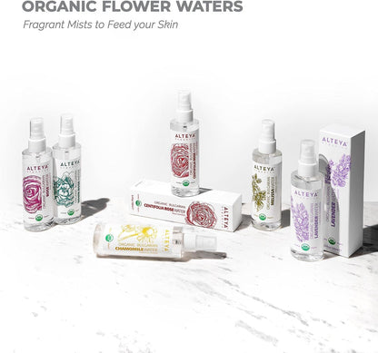 Organic White Rose Water Spray 100Ml - Pure Organic Rosa Alba Hydrolat - No Artificial Ingredients - USDA Certified Organic - Best for Sensitive Skin - Face Toner, Condition Hair & Scalp